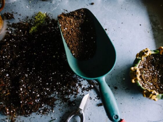 green metal garden shovel filled with brown soil