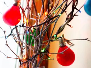 Netradiční Vánoční Stromky